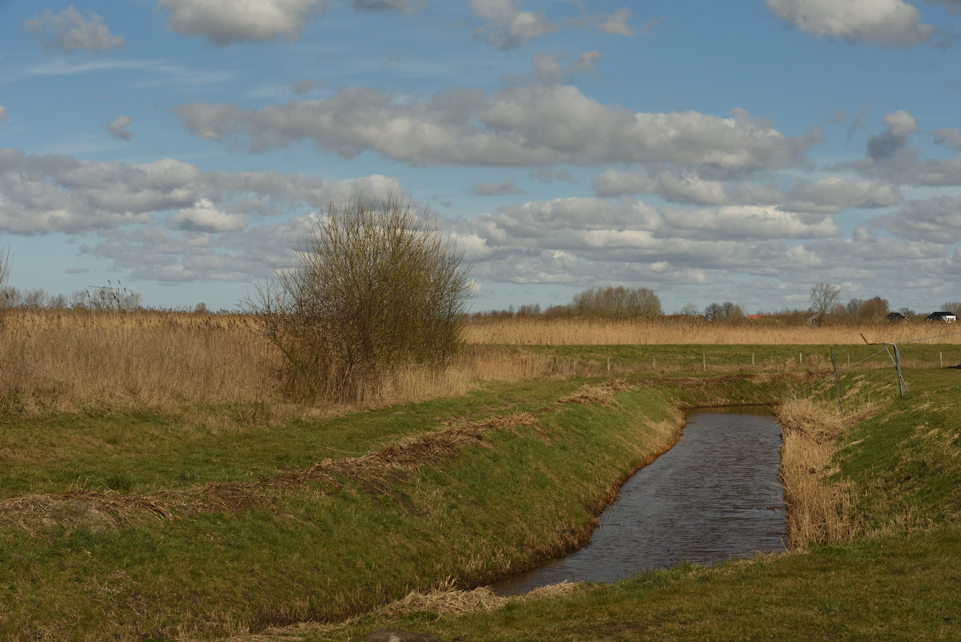 Gewoon Groningen