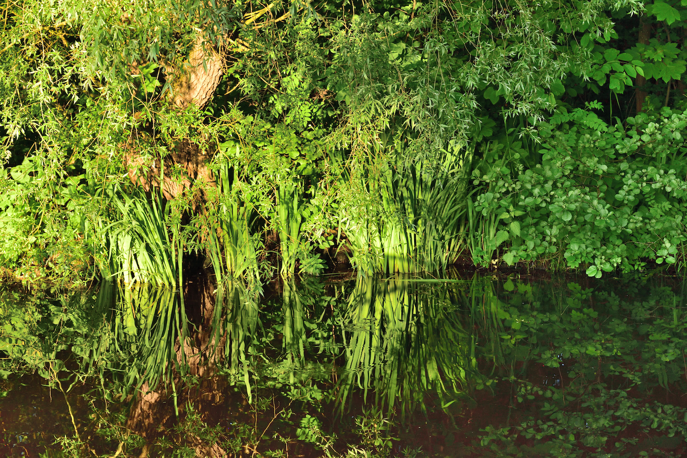 Spiegeling Ekenstein