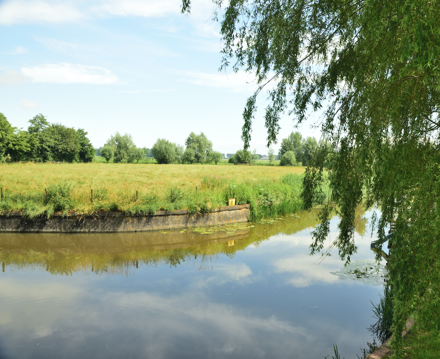Wilgenwater omgeving Godlinze